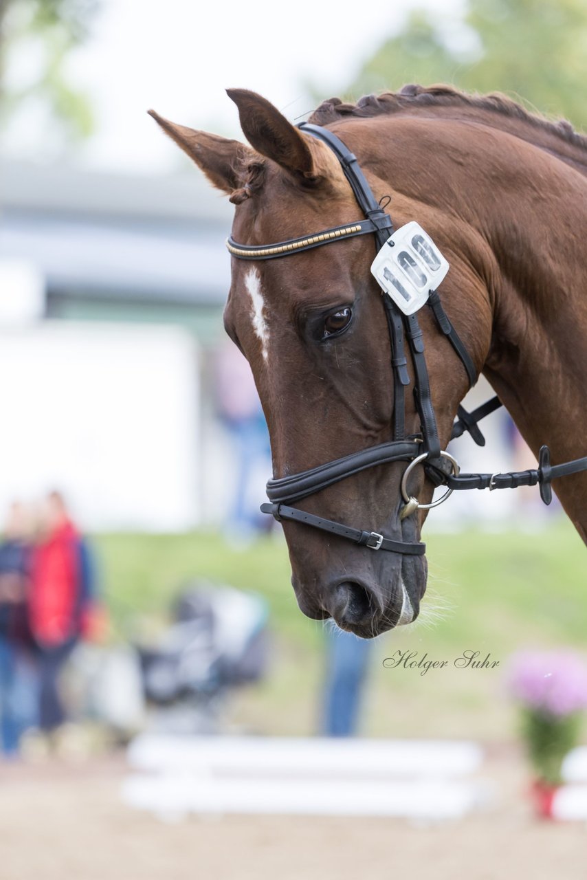 Bild 314 - Pony Akademie Turnier